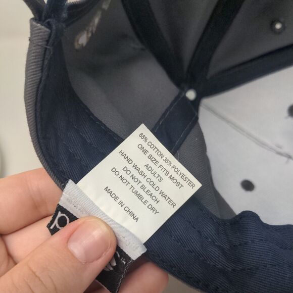 Bozkee Men's Strapback Hat Gray OSFM Cedar Point Valravn Rollercoaster Logo - Picture 8 of 8